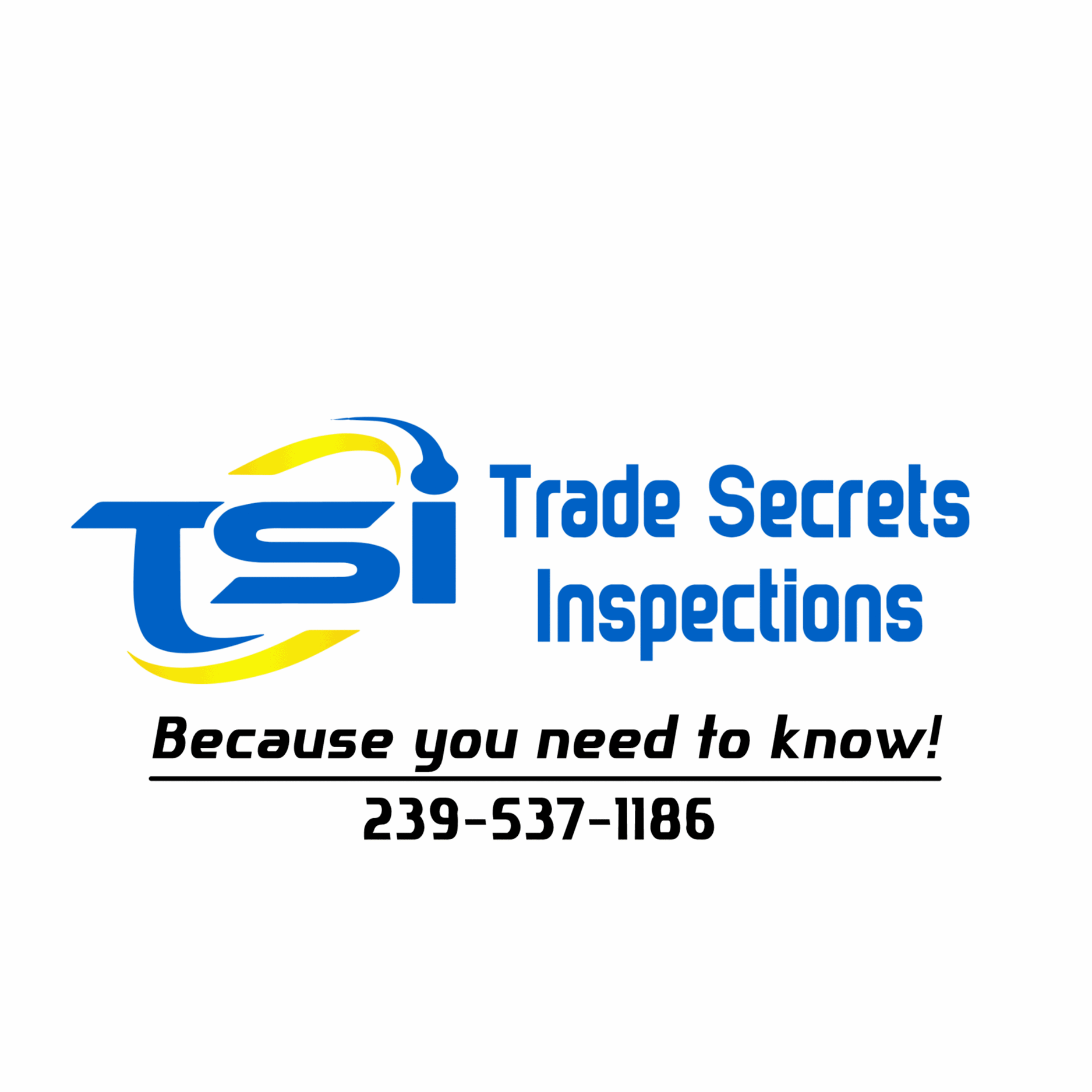 Trade Secrets Inspections Logo